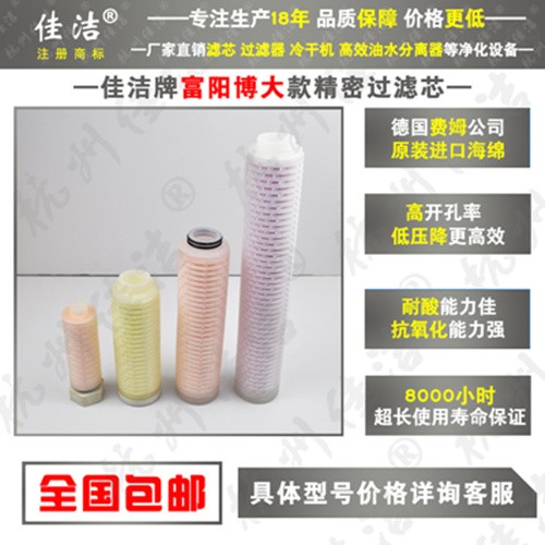 不锈钢除菌过滤器FLC-20/T 灭菌过滤器FLC-30/8 FLC-40/8